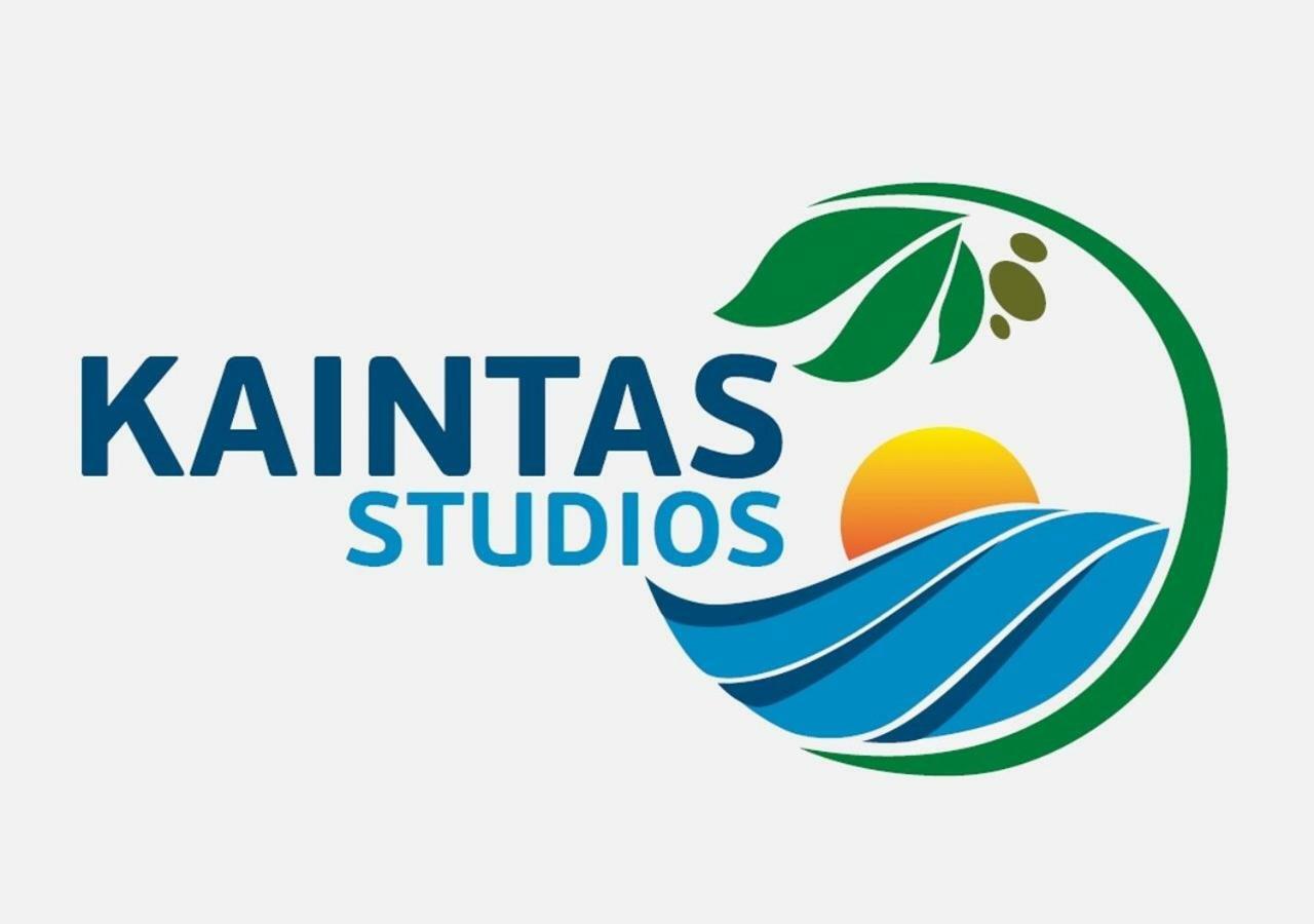 Studios Kaintas アギア・パラスカヴィ エクステリア 写真